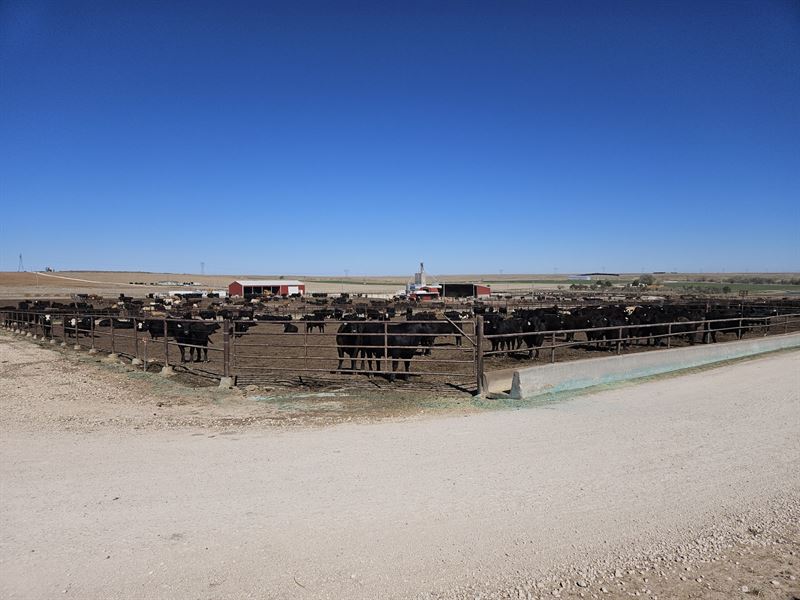 Tmc Feeders : Scott City : Scott County : Kansas