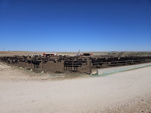 Tmc Feeders : Scott City : Scott County : Kansas