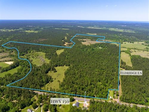 Minerals, 289 Acres, Highway 150 : Coldspring : San Jacinto County : Texas