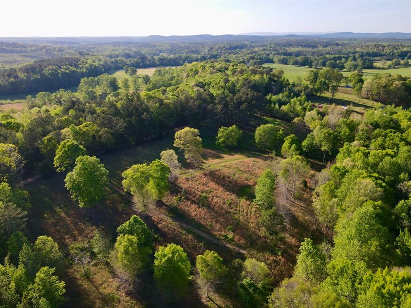 County Line Hunting & Homesite, 25 : Cragford : Clay County : Alabama