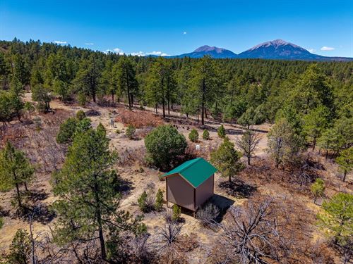 16 Spirit Mountain Ranch : Aguilar : Las Animas County : Colorado