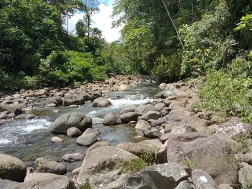 Beautiful Farm in Production : Matina : Costa Rica