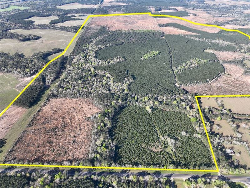 1526 Acres, T-2, Highway 146 : Livingston : Polk County : Texas
