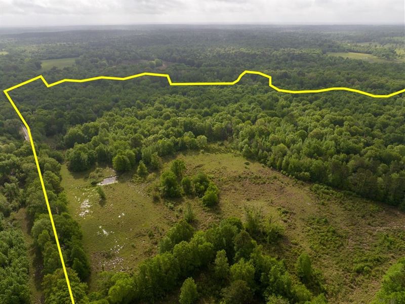 54 Acres, Fodice Road : Crockett : Houston County : Texas
