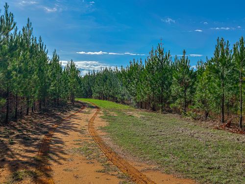 Island Creek Farms : Sparta : Hancock County : Georgia