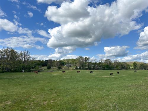 Working Farm for Sale in Missouri : Willow Springs : Howell County : Missouri