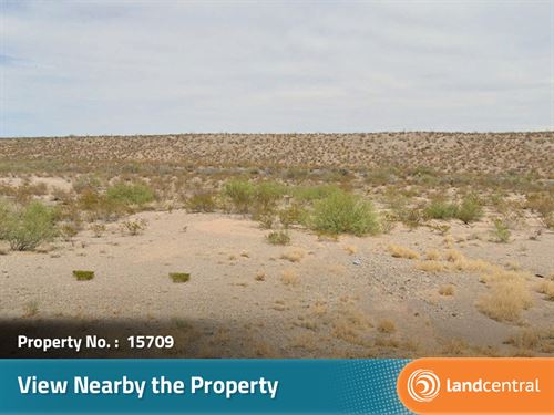 Huge Property Away From it All : Presidio : Texas