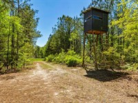 Turkey Ridge : Butler : Taylor County : Georgia