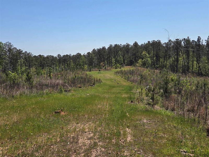 Lake Martin Timber/Recreation : Equality : Coosa County : Alabama