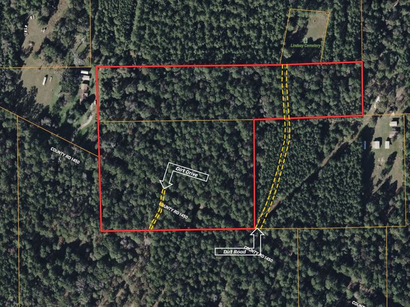 13.65 Acres in Tyler County TX : Warren : Tyler County : Texas