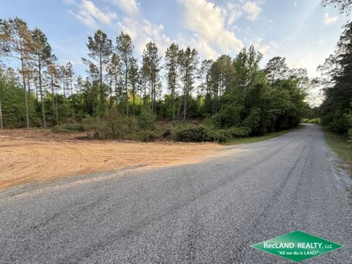 65 ac, Timberland Near Town : Marion : Union Parish : Louisiana