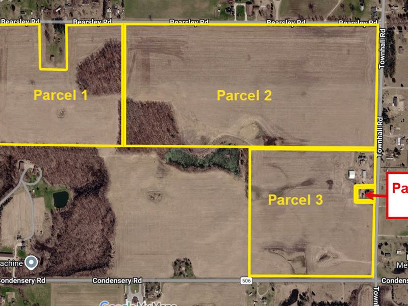 153 Agricultural Acres : Sheridan : Montcalm County : Michigan