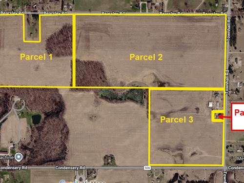 153 Agricultural Acres : Sheridan : Montcalm County : Michigan