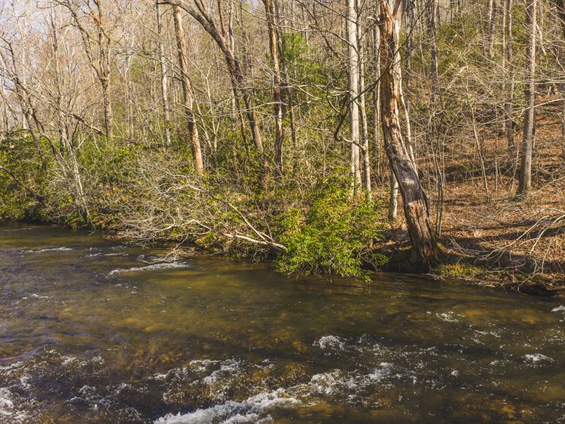 Recreational Tract in SW Virginia : Ararat : Patrick County : Virginia