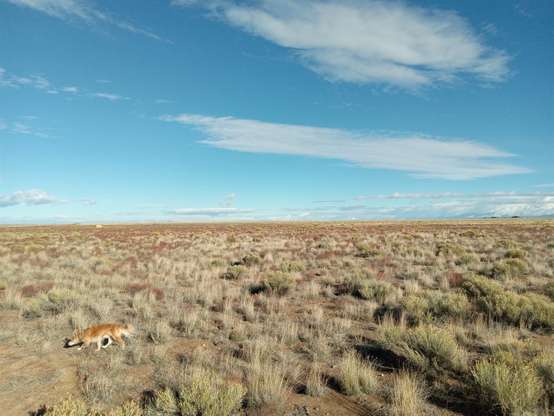 5.55 Acres in Blanca, CO : Longmont Ave : Costilla County : Colorado