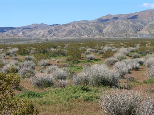 Explore Two Stunning 2.53 Acre Lots : Mojave : Kern County : California
