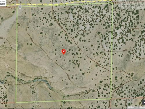 Las Animas Ranch, Delhi, CO 81 : Delhi : Las Animas County : Colorado