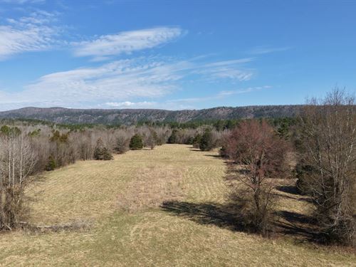 101 Acres Montgomery County, AR : Caddo Gap : Montgomery County : Arkansas