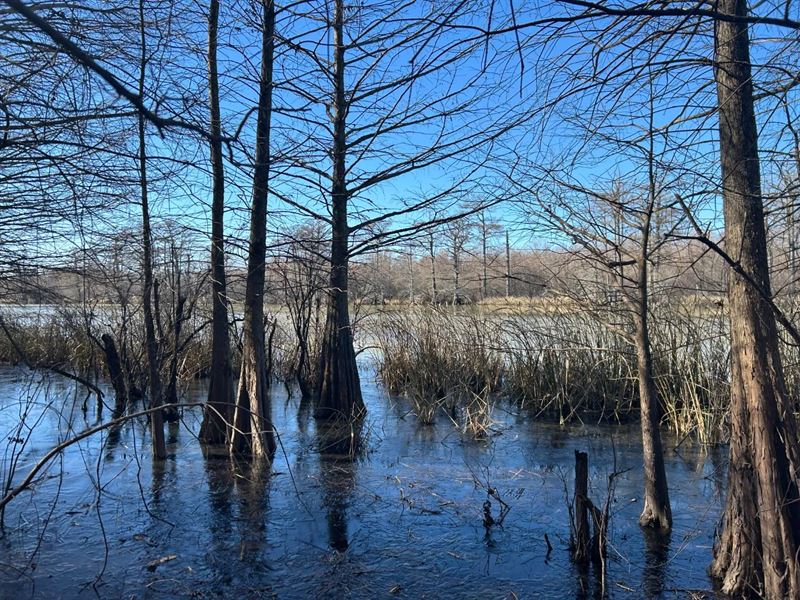 88 Acres in Tunica County, MS : Dundee : Tunica County : Mississippi