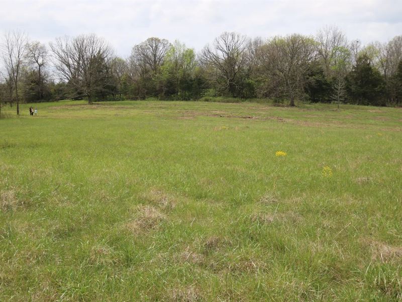 6.1 Acres in Webster County, MO : Marshfield : Webster County : Missouri