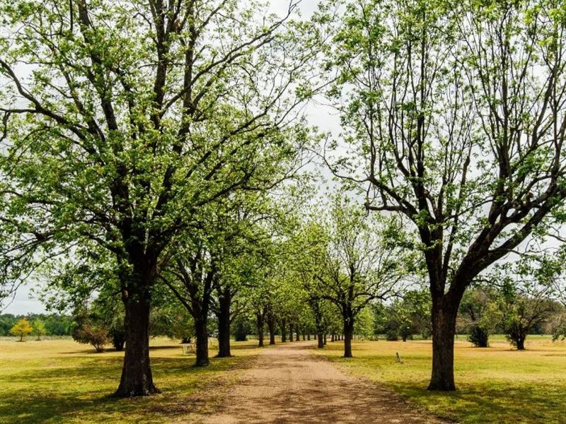 136 Acres with a Lodge in Leflore : Greenwood : Leflore County : Mississippi