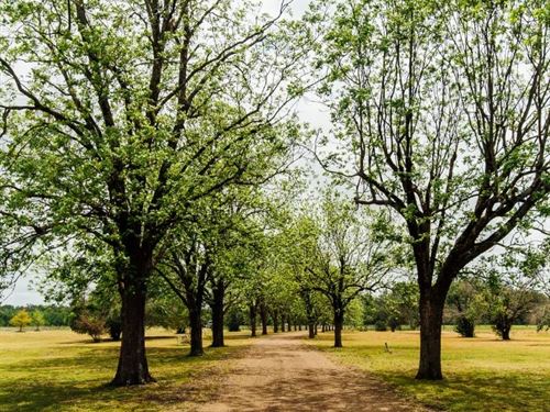 136 Acres With a Lodge in Leflore : Greenwood : Leflore County : Mississippi