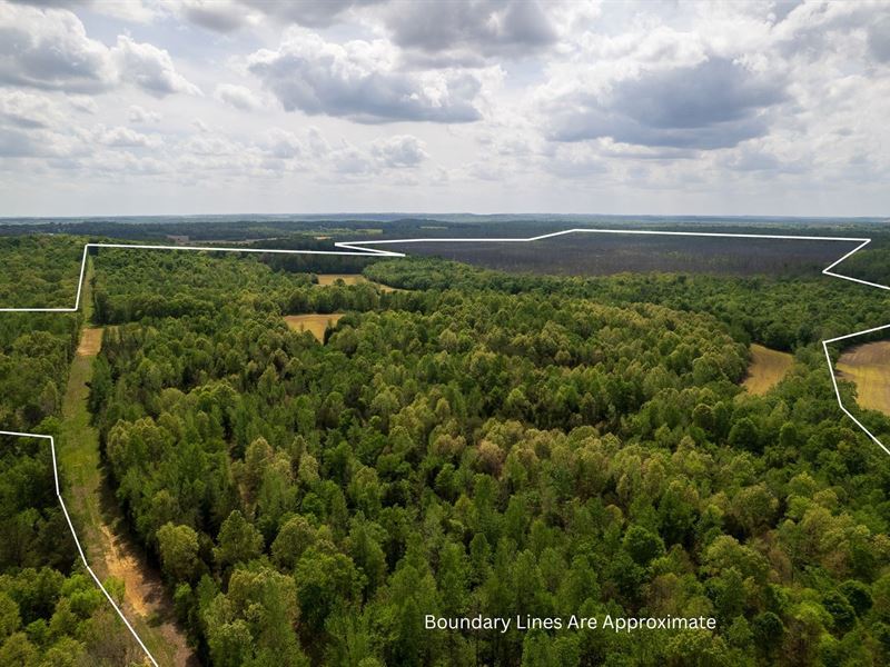 Elk Pond Creek 266 Acres Muhlenberg : Greenville : Muhlenberg County : Kentucky