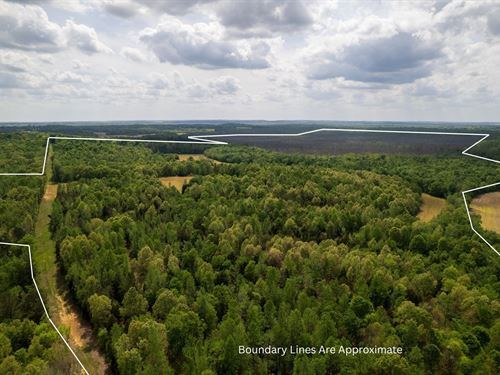 Elk Pond Creek 266 Acres Muhlenberg : Greenville : Muhlenberg County : Kentucky