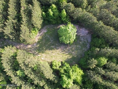 46 Acres in St Helena Parish, LA : Greensburg : Saint Helena Parish : Louisiana