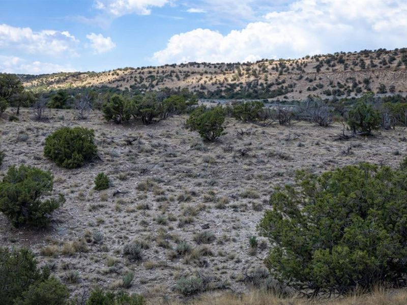 Arizona Desert Escape Property : Concho : Apache County : Arizona