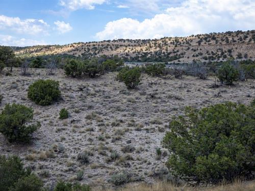 Arizona Desert Escape Property : Concho : Apache County : Arizona