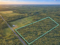 80 Acres of Hunting Paradise : Sheldon : Rusk County : Wisconsin