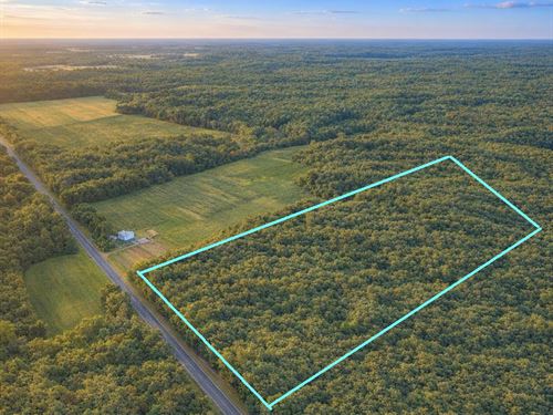 80 Acres of Hunting Paradise : Sheldon : Rusk County : Wisconsin