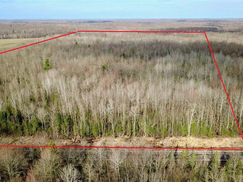 80 Acres of Hunting Paradise : Sheldon : Rusk County : Wisconsin