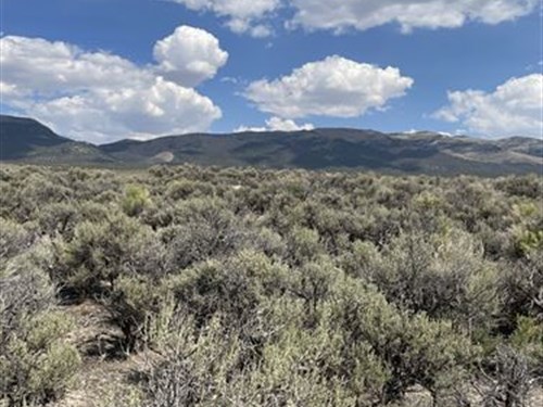 20 Acre Wild West Land in NV : Wells : Elko County : Nevada