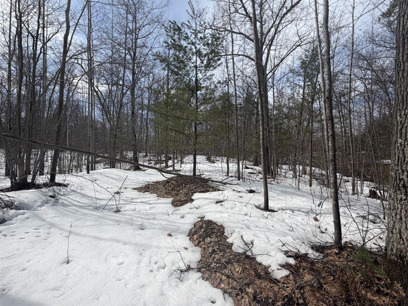 Lot with Buckskin Lake View : Lac Du Flambeau : Vilas County : Wisconsin