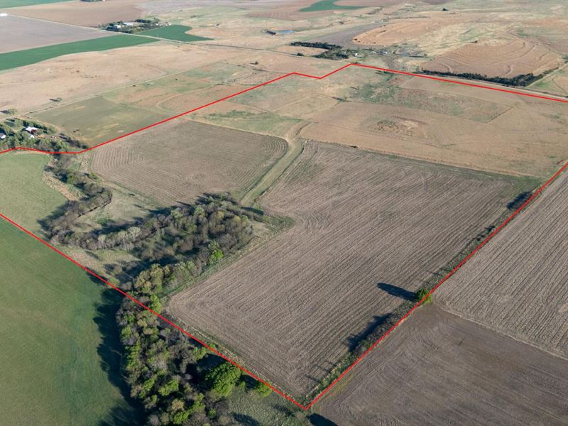 Dry Creek Cropland and Pasture : Albert : Rush County : Kansas
