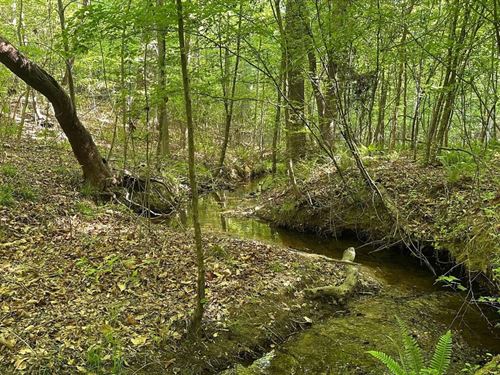 Log Dam Creek Tract : Sparta : Hancock County : Georgia