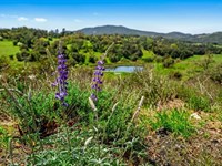 Rancho DE Los Robles : Santa Ysabel : San Diego County : California