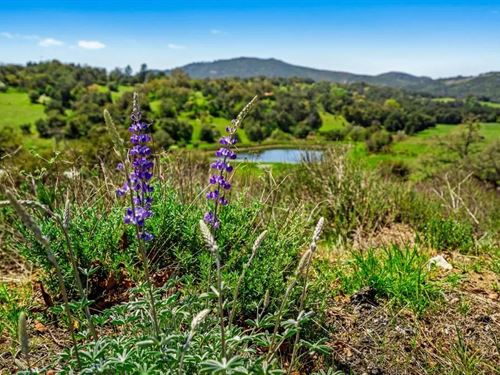 Rancho DE Los Robles : Santa Ysabel : San Diego County : California