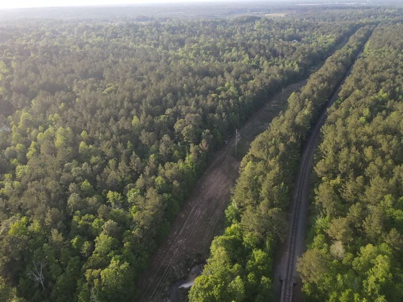42 Acres in Forrest County, MS : Hattiesburg : Forrest County : Mississippi