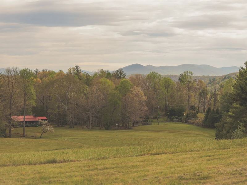 A Log Cabin on 93 Acres in Catoosa : Wartburg : Morgan County : Tennessee