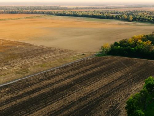 465 Acres in Dyer County, TN : Dyersburg : Dyer County : Tennessee