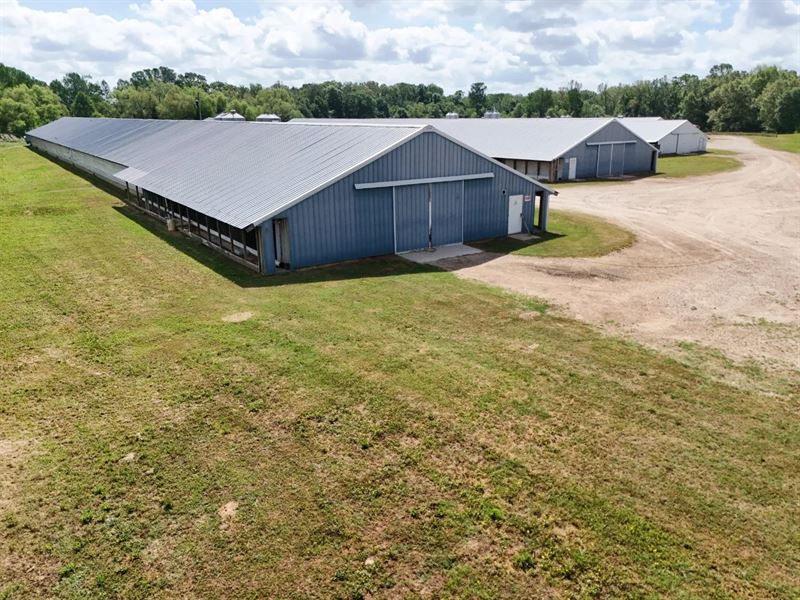 16.56 Acre Poultry Farm in Lincoln : Choudrant : Lincoln Parish : Louisiana