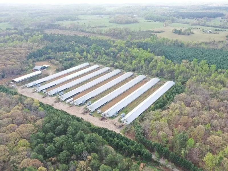 Arey Broiler Farm : Lawndale : Cleveland County : North Carolina