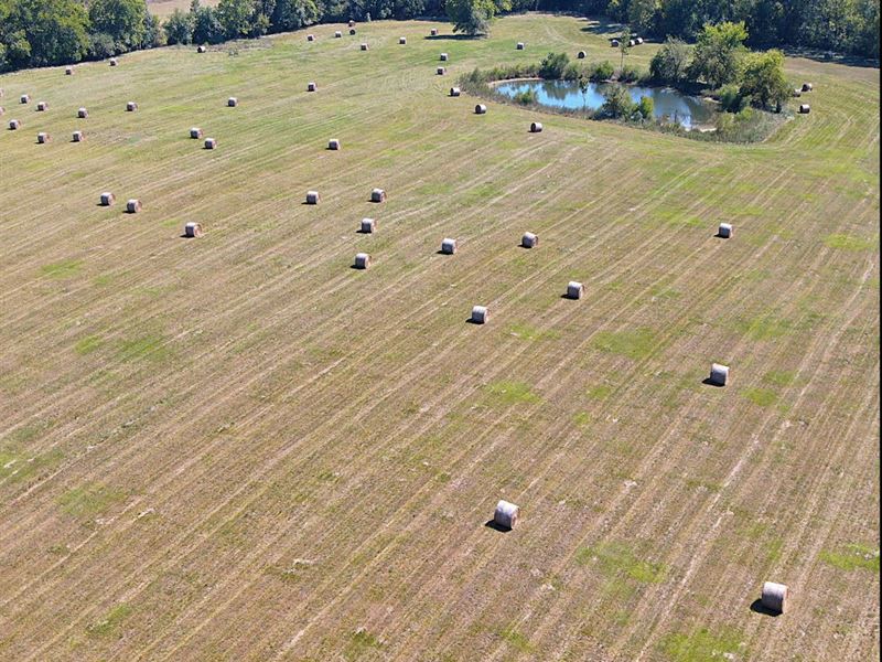 Pike Road Estate : Pike Road : Montgomery County : Alabama