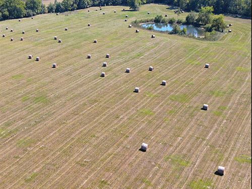 Pike Road Estate : Pike Road : Montgomery County : Alabama