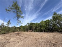 Pine Ridge Tract-58 Acres : Quitman : Clarke County : Mississippi