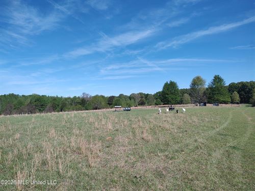 Livestock Ready Land : Utica : Hinds County : Mississippi