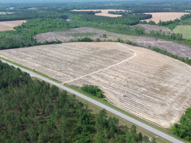 Bunn Store Road : Midville : Burke County : Georgia